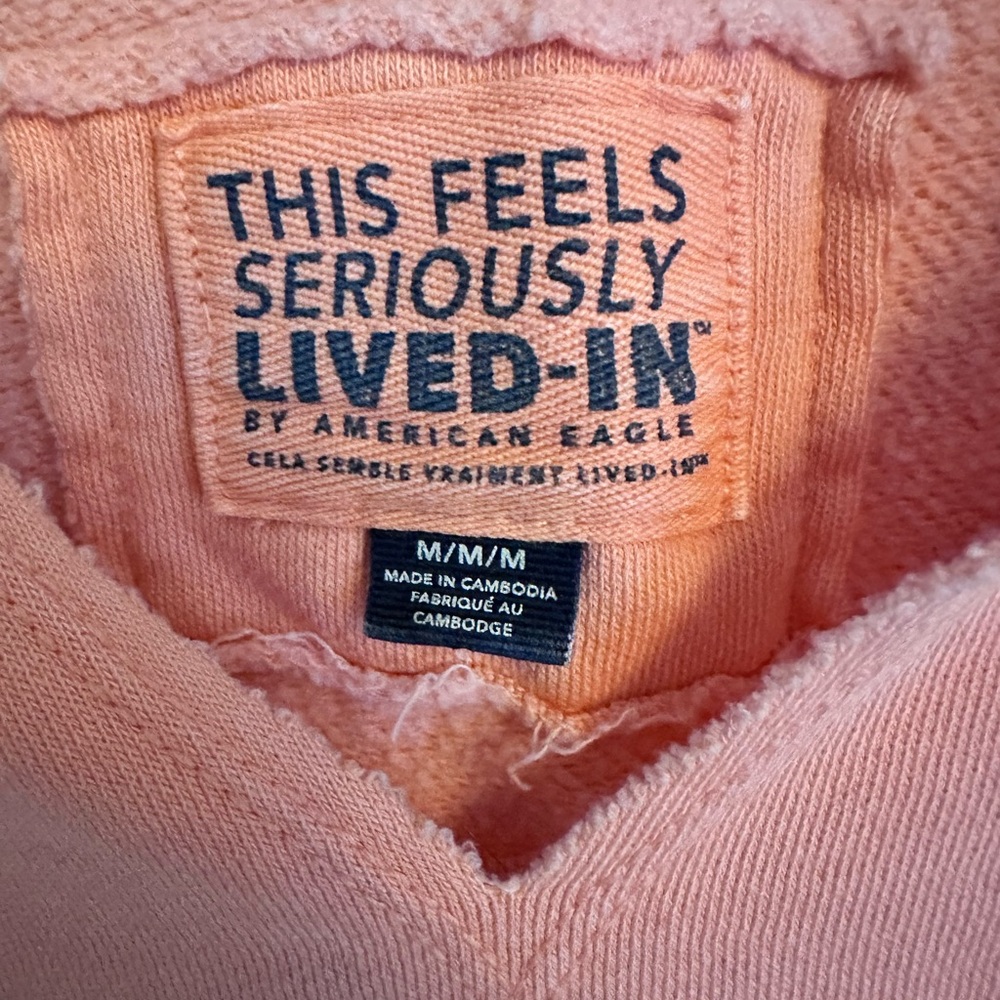 American Eagle Outfitters Peach V-Neck Sweater - Picture 3 of 3